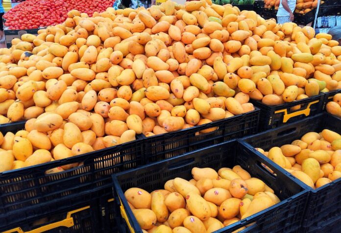 Best Places to Buy Organic Mangoes in India