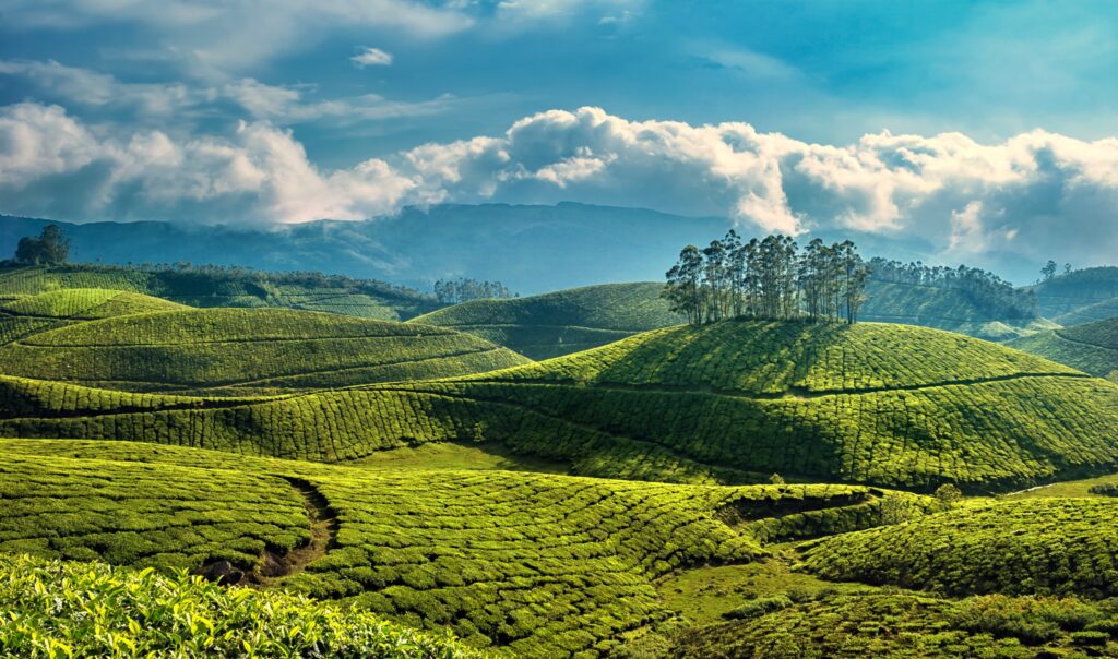 Top 10 Places to Visit in Munnar