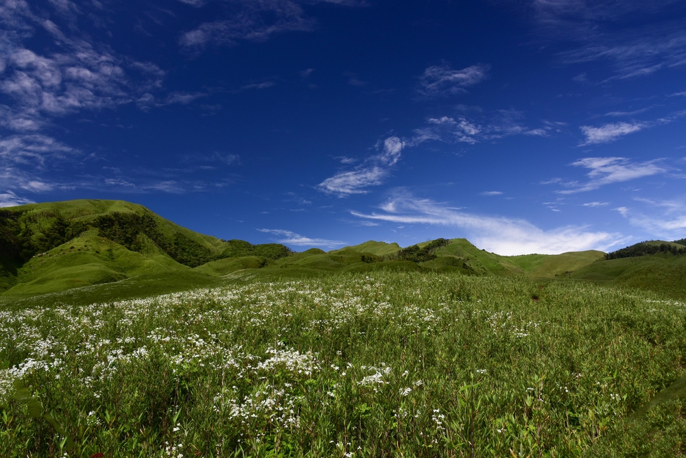 Dzukou Valley, Nagaland