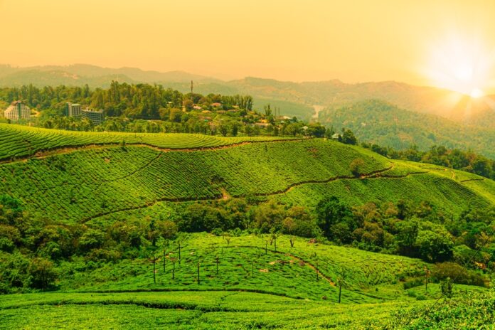 Budget Friendly Places to Visit in January in South India